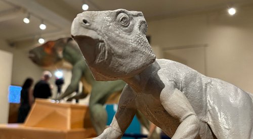 VIDEO: Dinosaurs invade the Okanagan Heritage Museum
