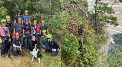 'Very lucky' dog rescued after going 150 feet down a cliffside in BC